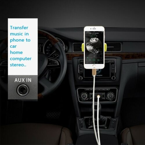 Lighting / Type C to 3.5 mm Audio Cable